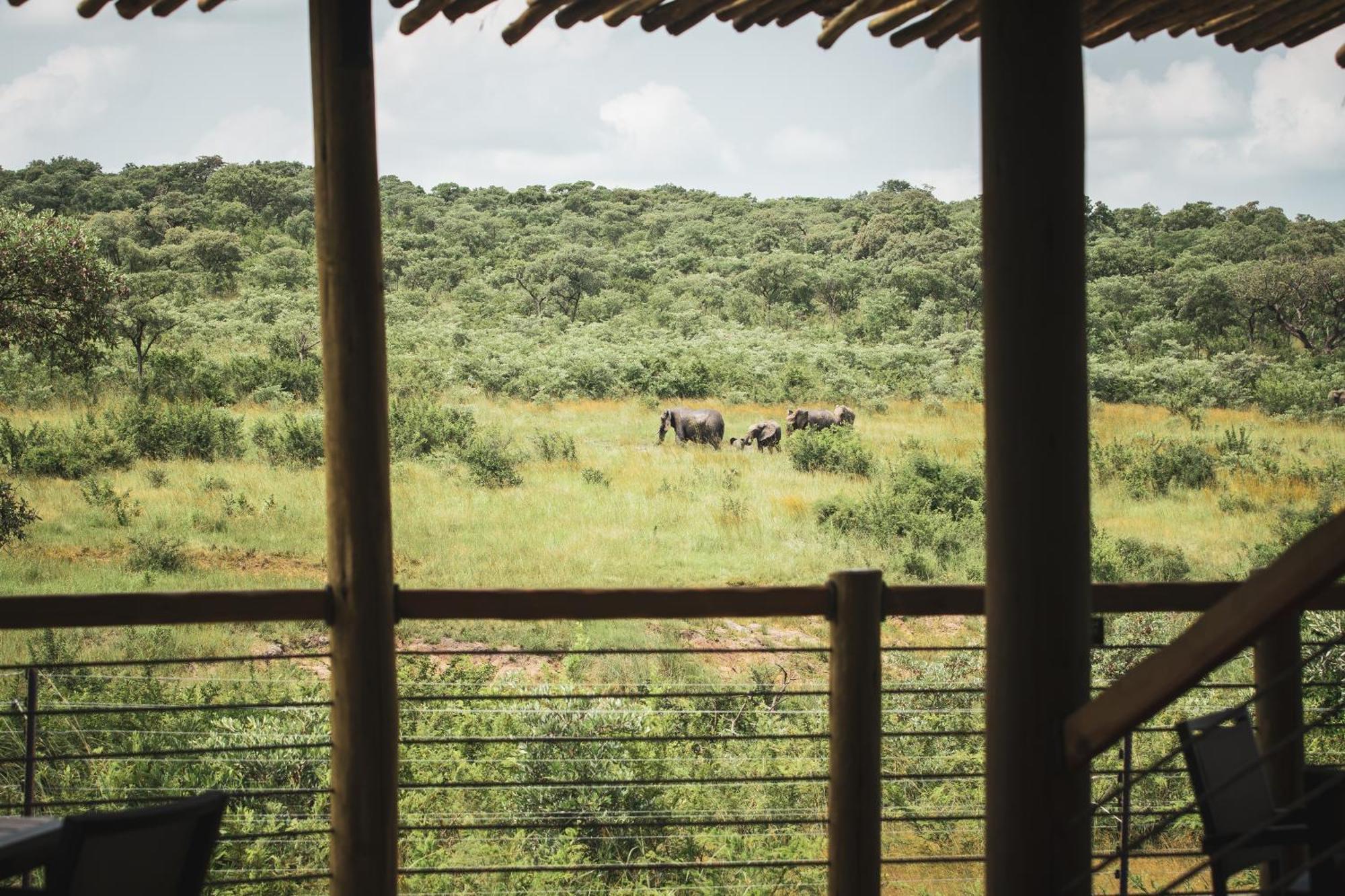 האזיביו Mdluli Safari Lodge מראה חיצוני תמונה